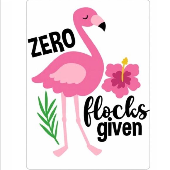 Zero Flocks Given 🦩 Magnet - Picture 2 of 2